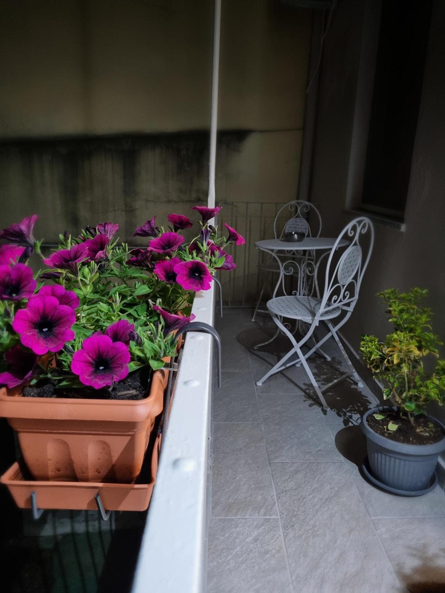 Apartament Ca Fiamma 2 Casale Monferrato Zewnętrze zdjęcie